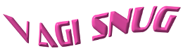 VagiSnung